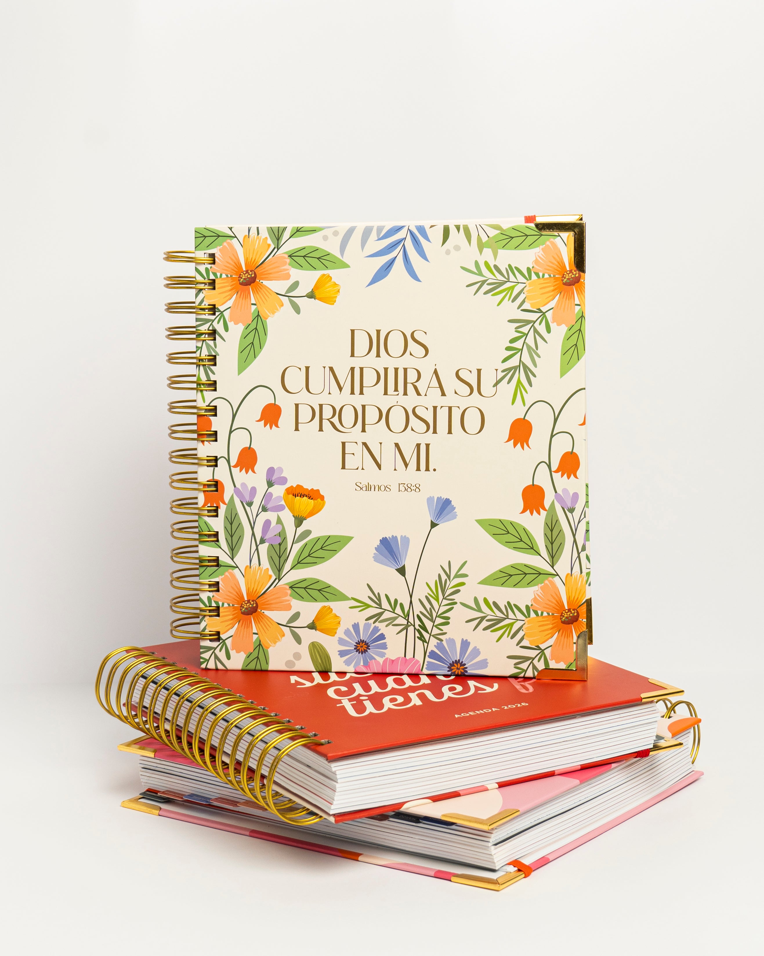 AGENDA AMELIE "DIOS CUMPLIRA SU PROPOSITO EN MI"