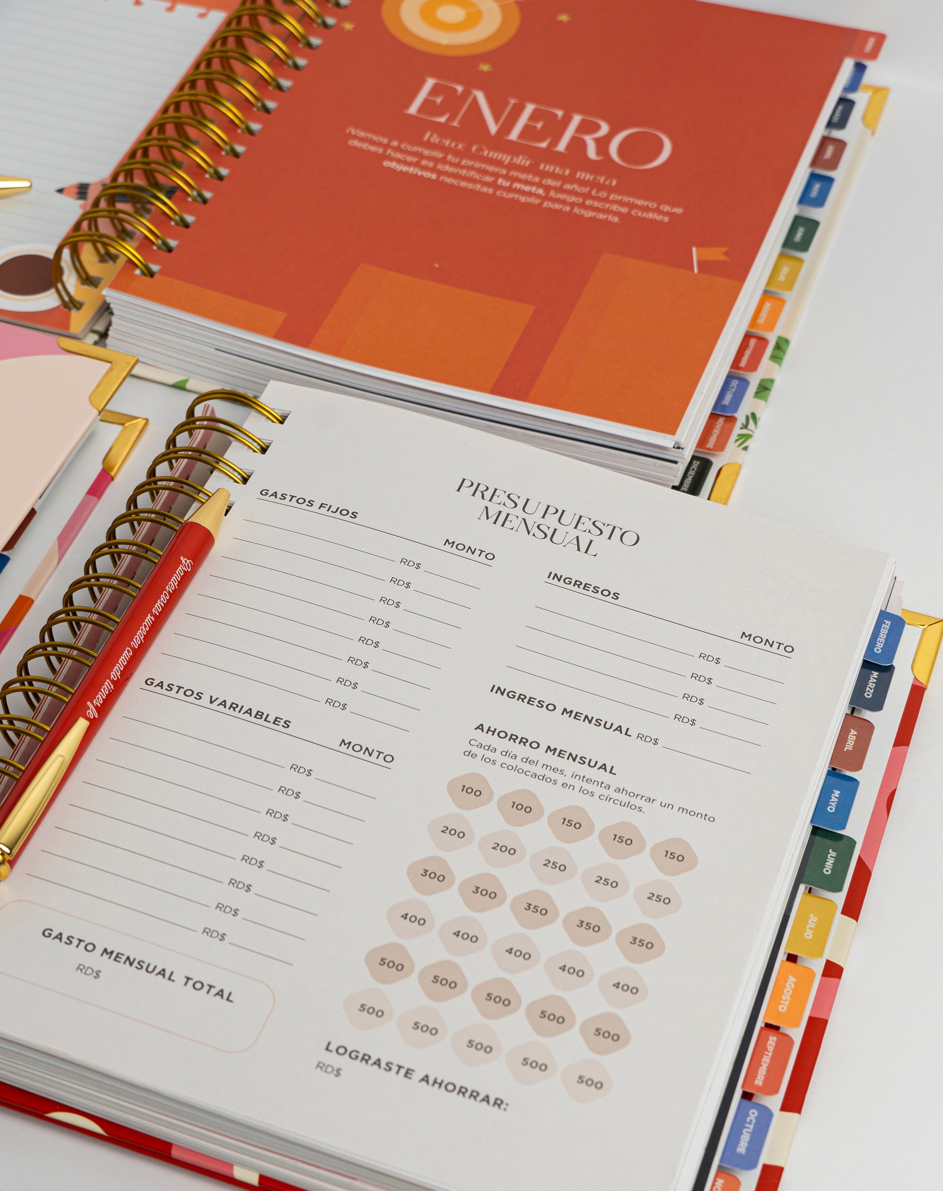 AGENDA AMELIE "2026"