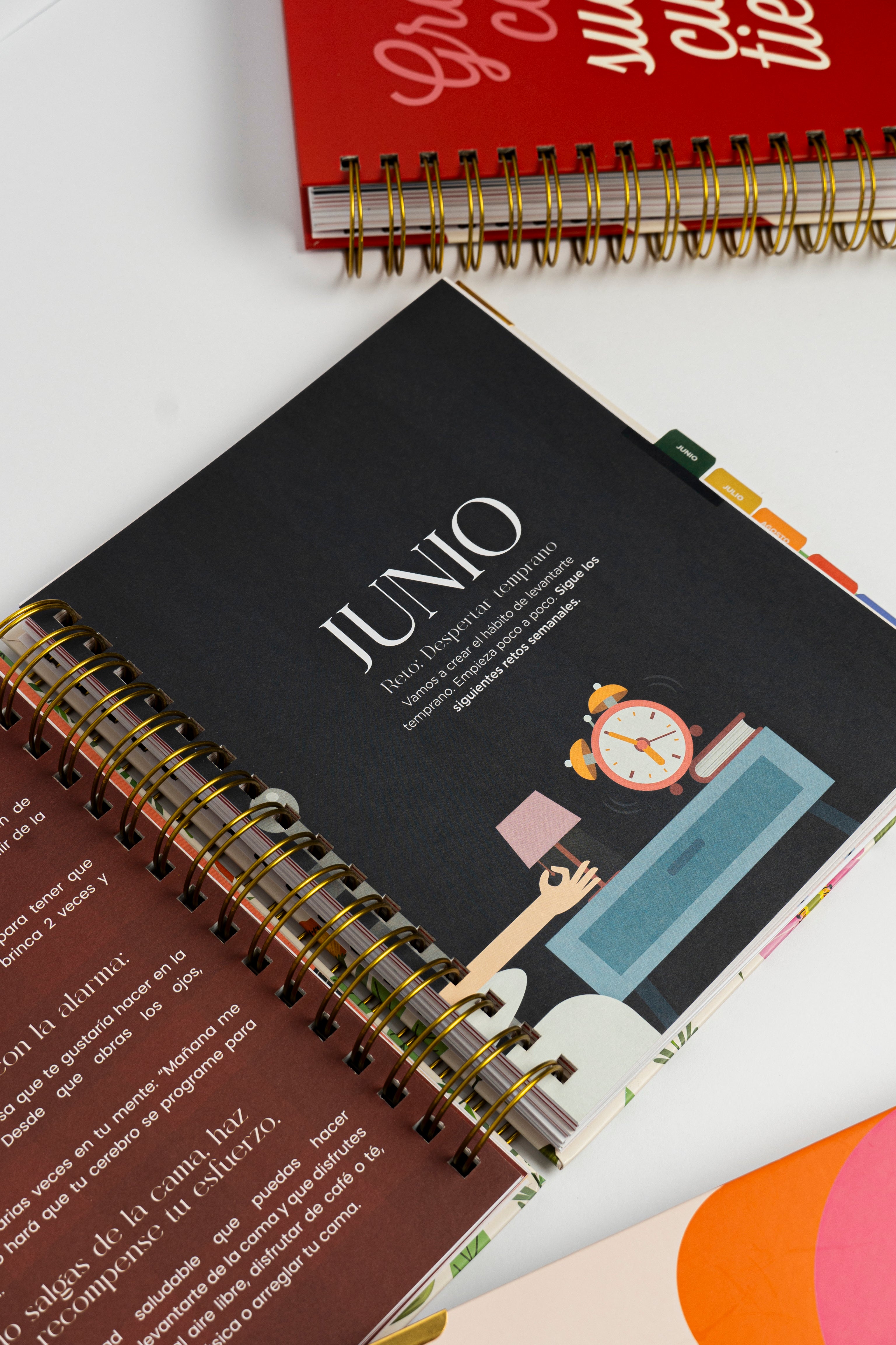 AGENDA AMELIE "2026"