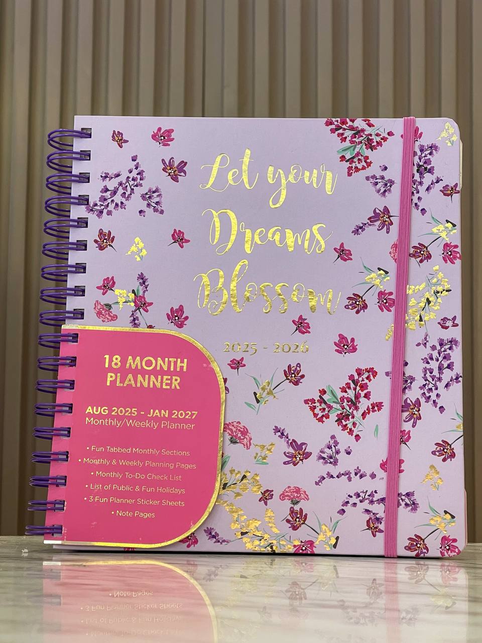 Agenda grande 18 meses